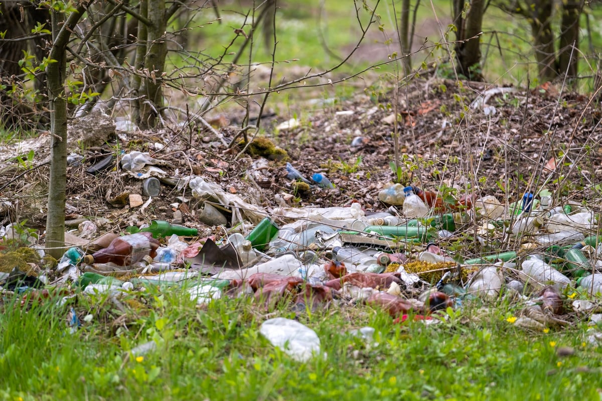 Trash heap in the middle of the forest. Environmental neglect and urgent need for responsible waste disposal